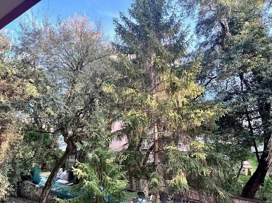 Small House Roma Nord Apartment